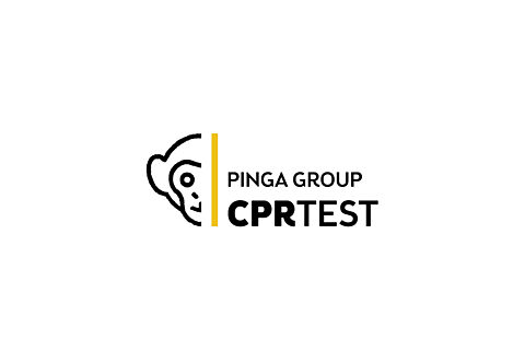 Pinga group logo
